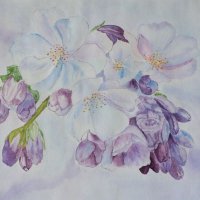 акварель